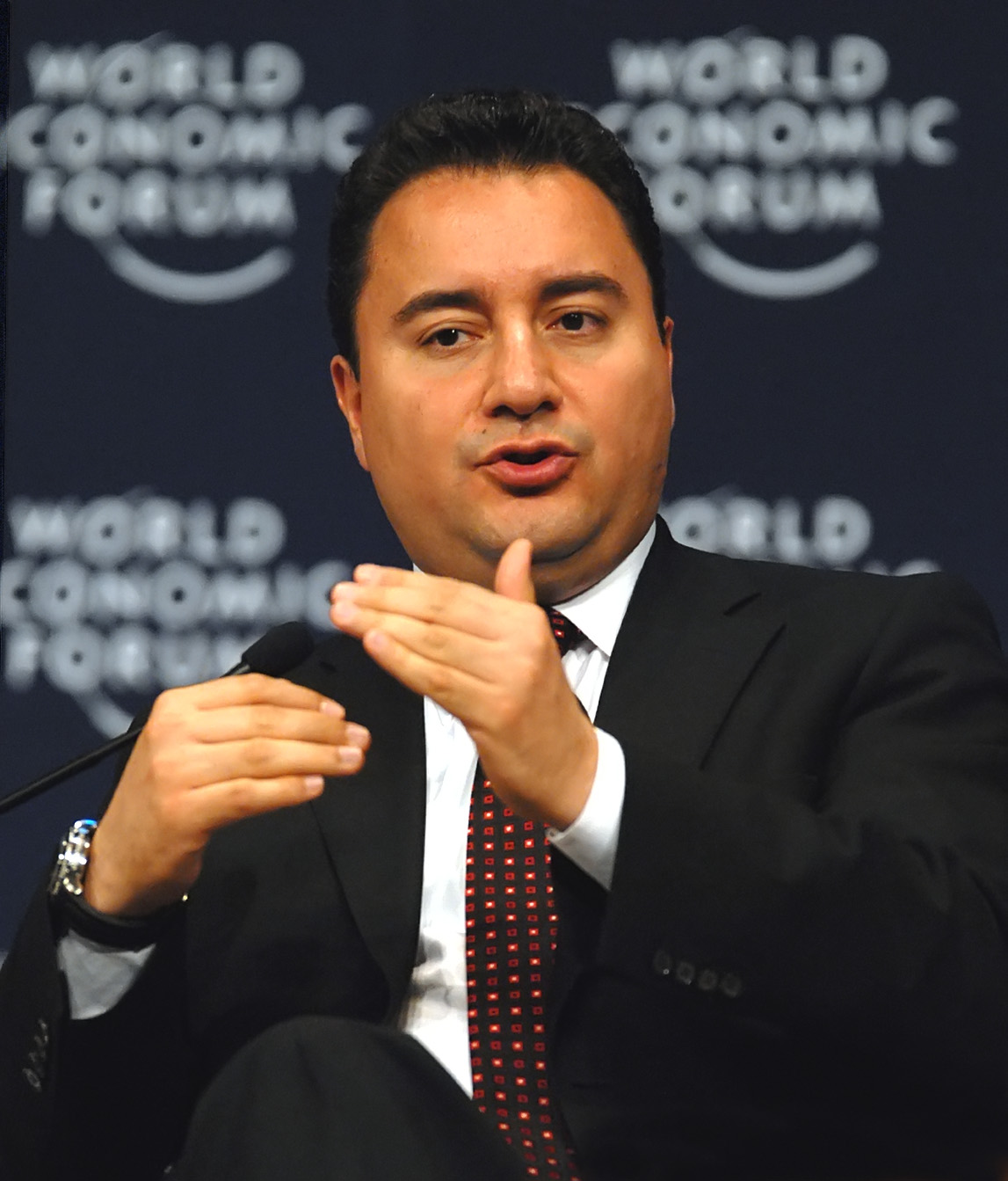 Ali Babacan Fotografia