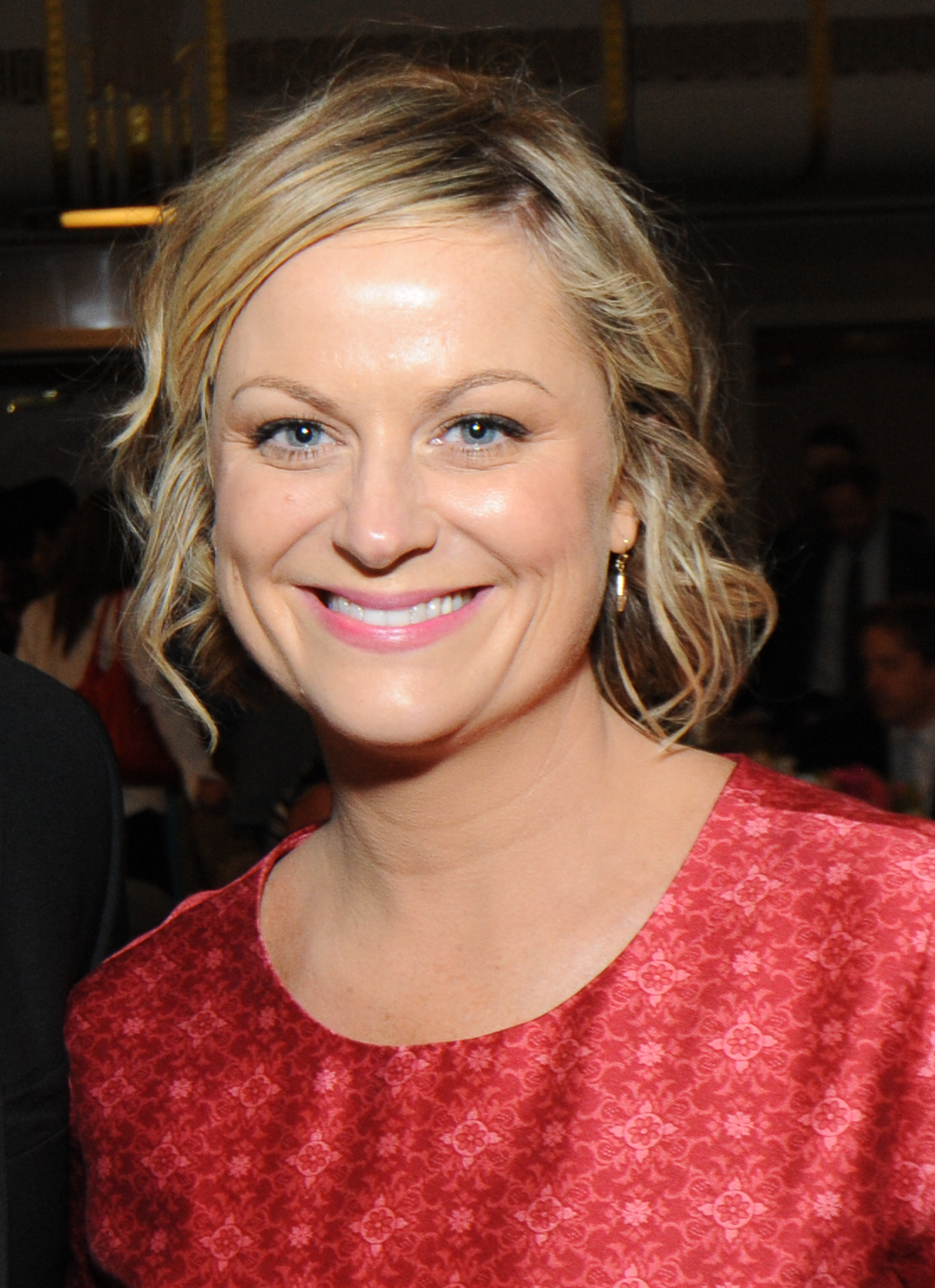 Amy Poehler Fotografia