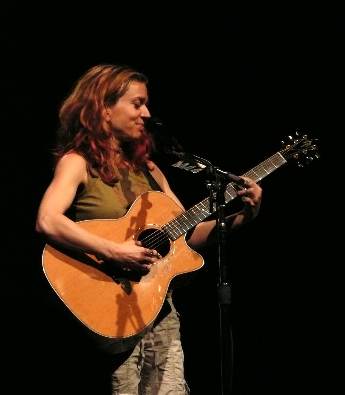 Ani DiFranco Fotografia