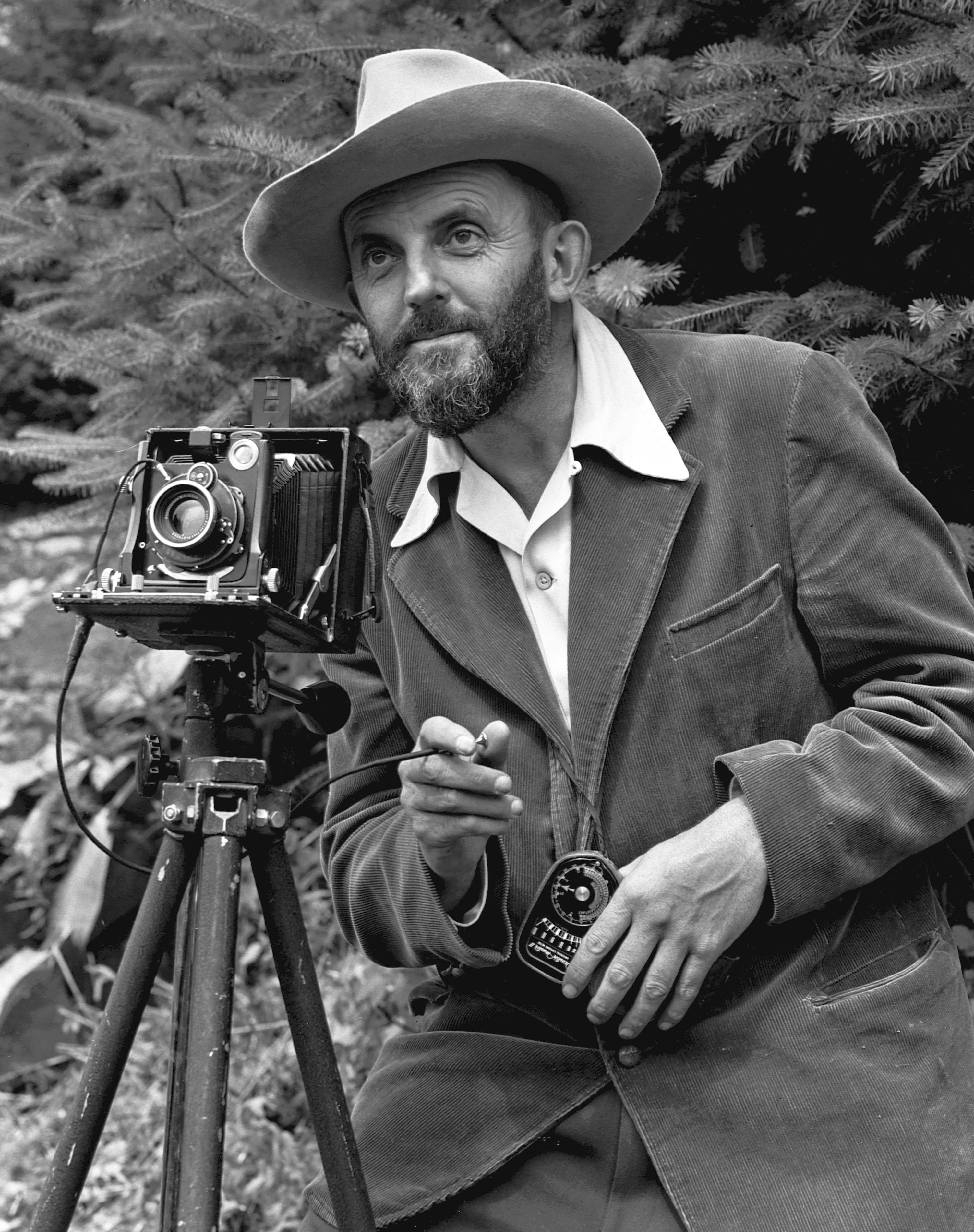 Ansel Adams Fotografia