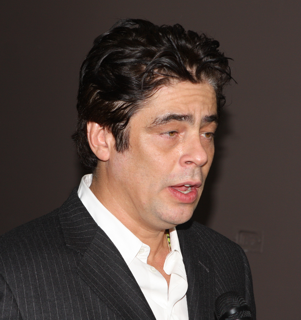 Benicio Del Toro Fotografia