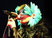 Björk Fotografia
