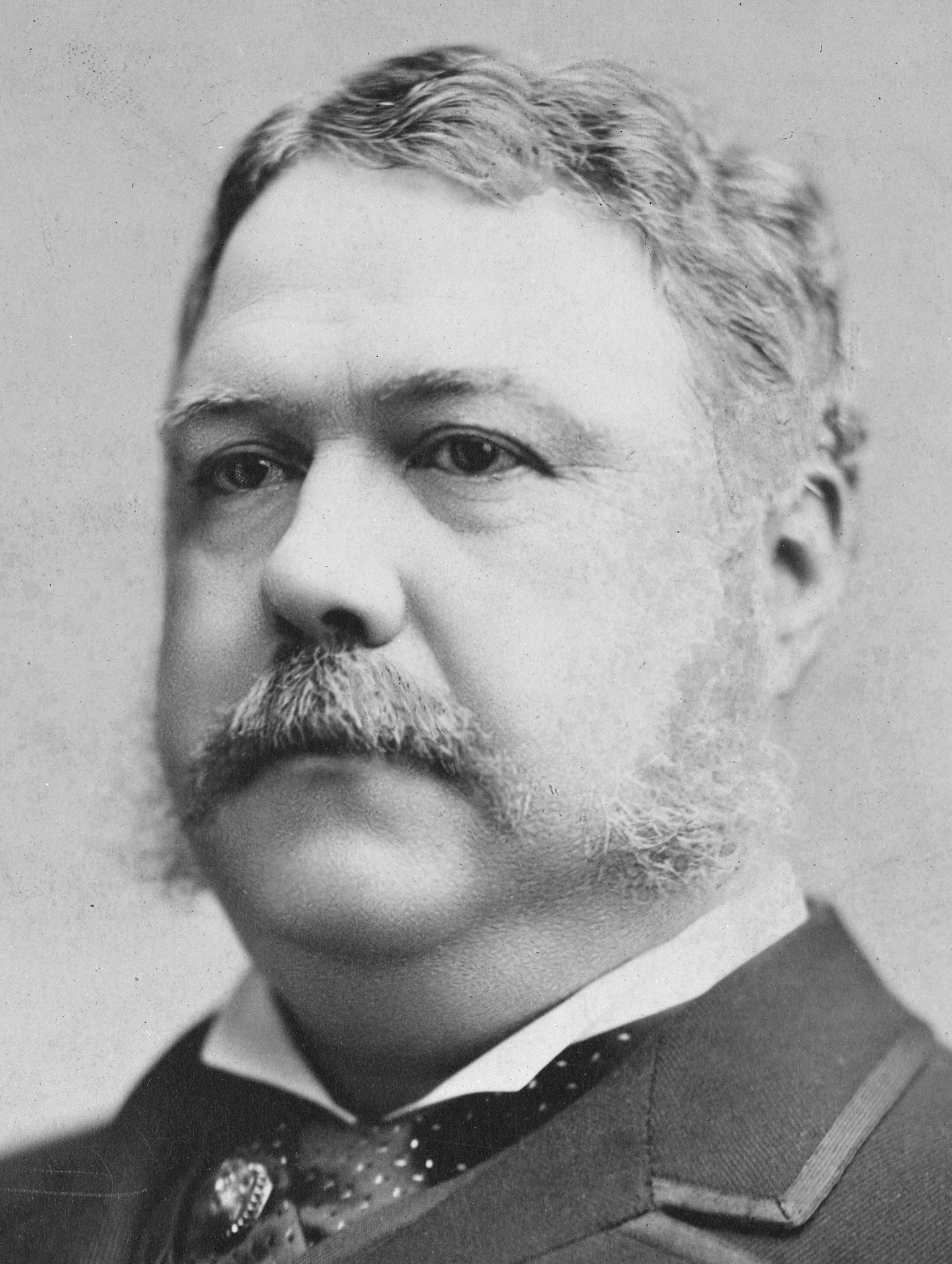 Chester Arthur Fotografia