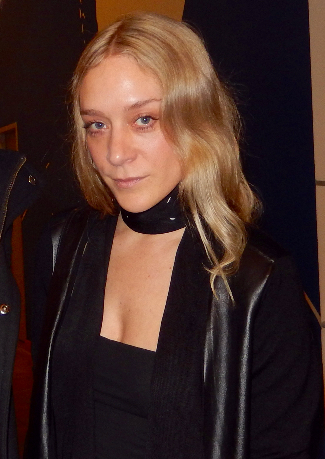 Chloë Sevigny Fotografia