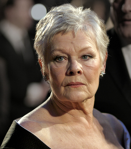 Judi Dench Fotografia