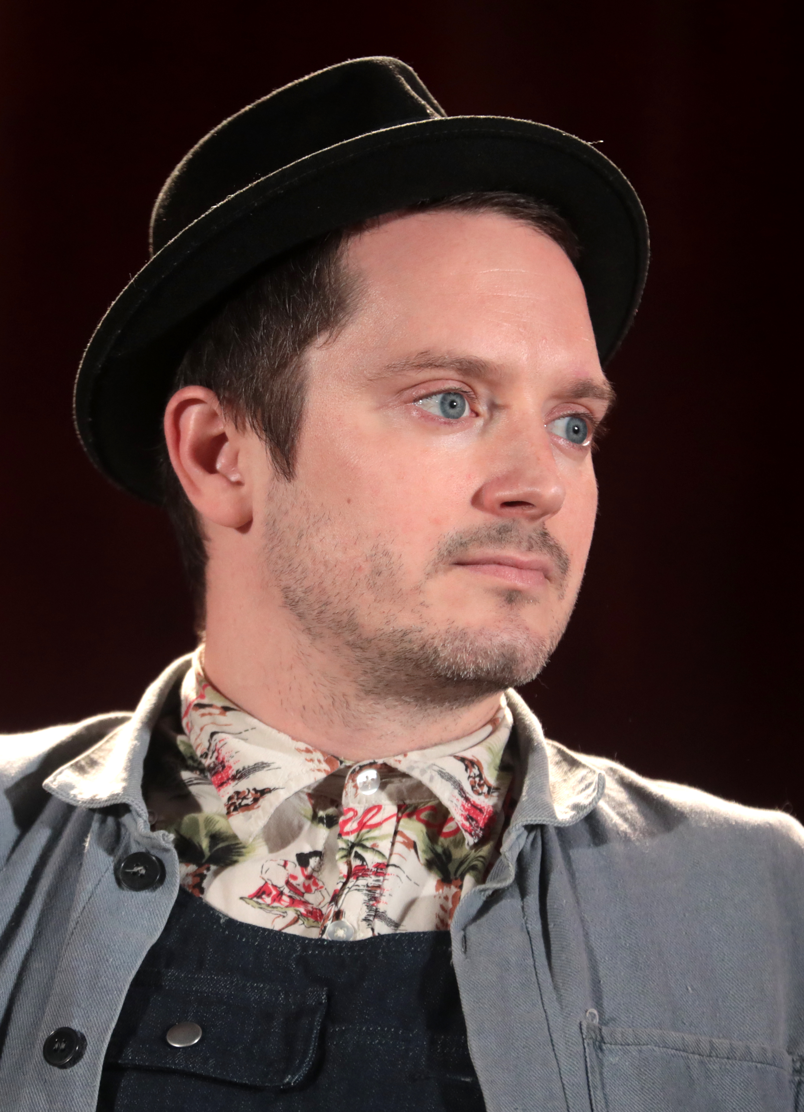 Elijah Wood Fotografia
