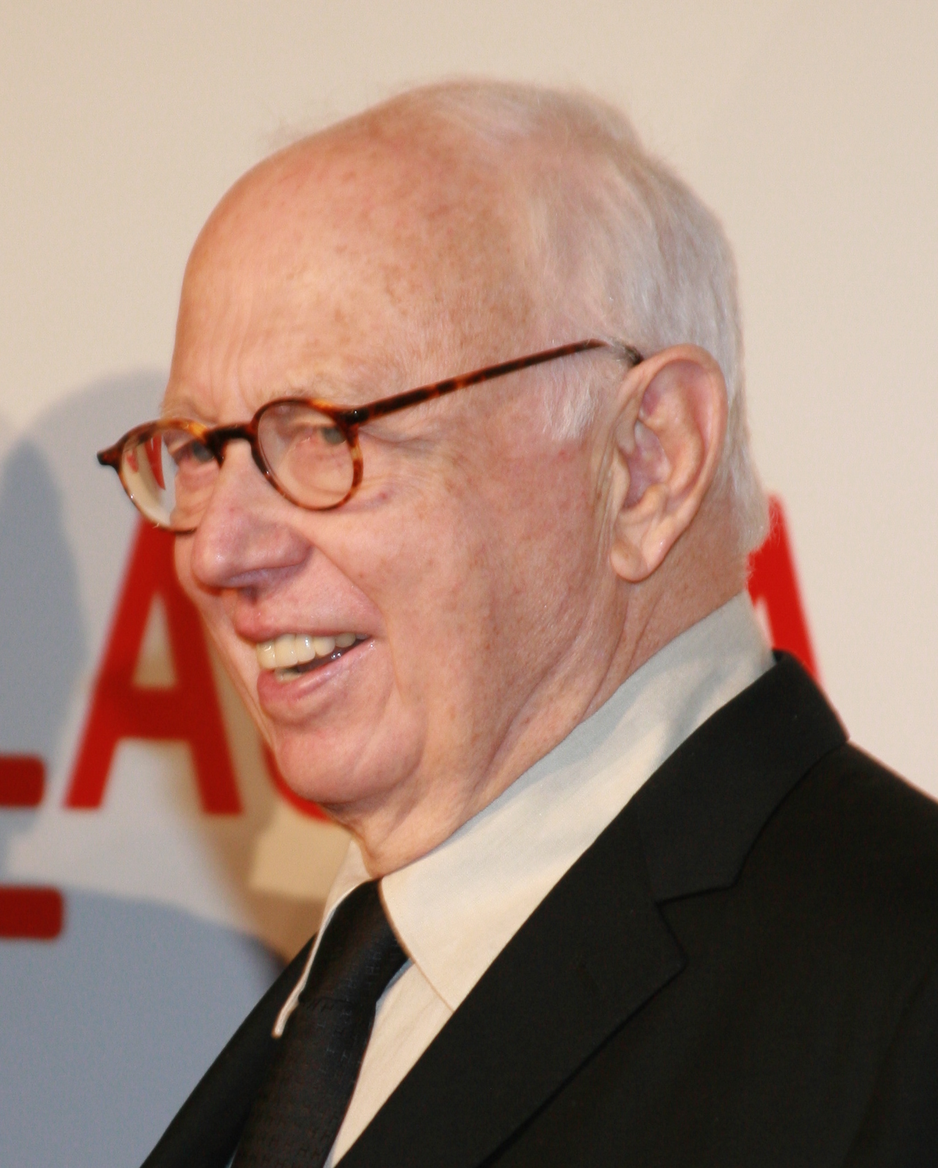 Ellsworth Kelly Fotografia