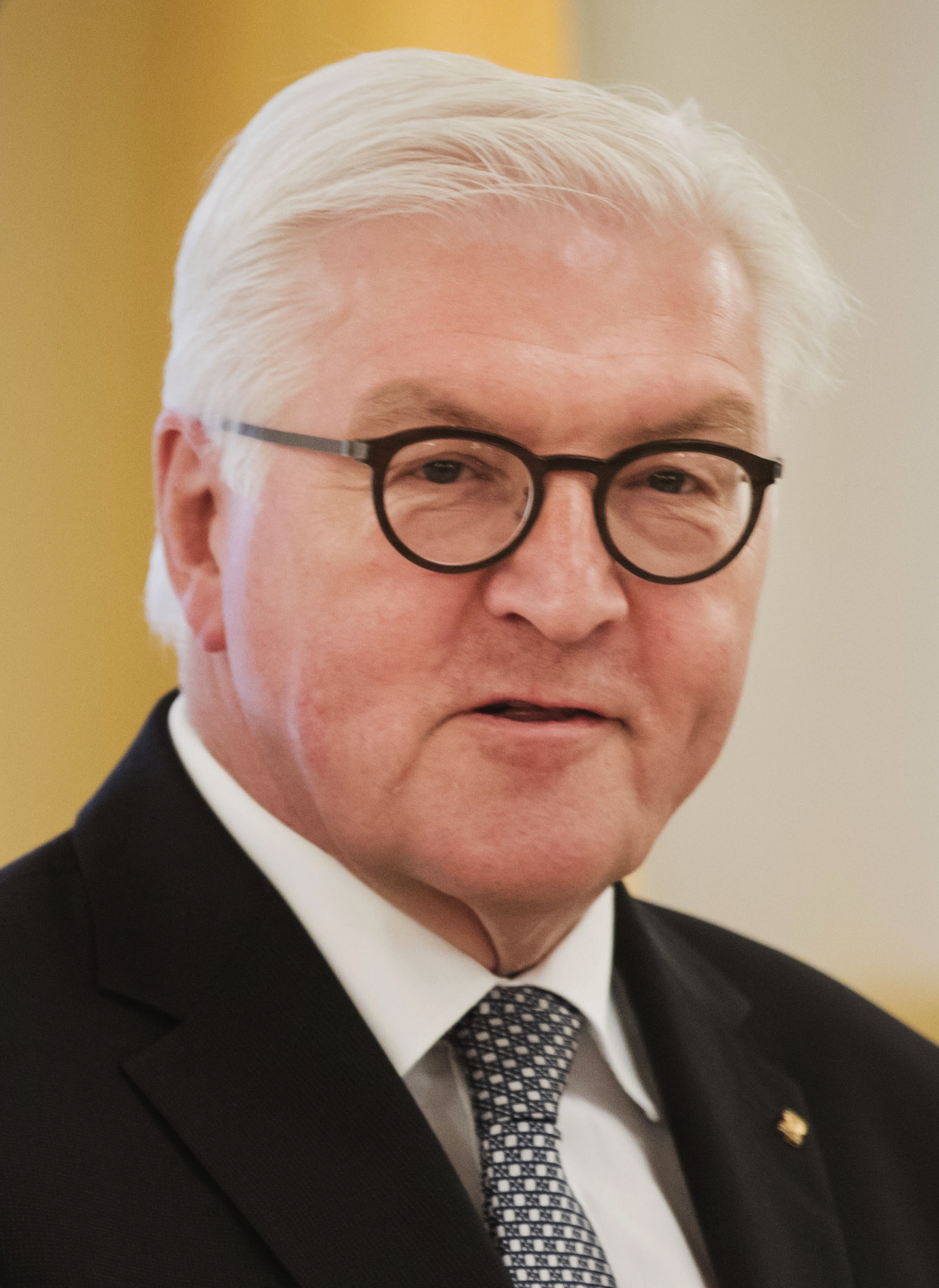 Frank-Walter Steinmeier Fotografia