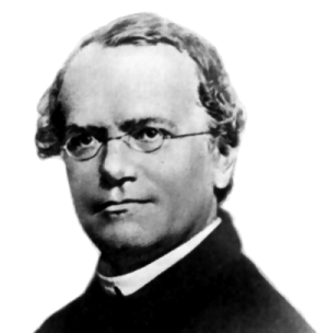 Gregor Mendel Fotografia