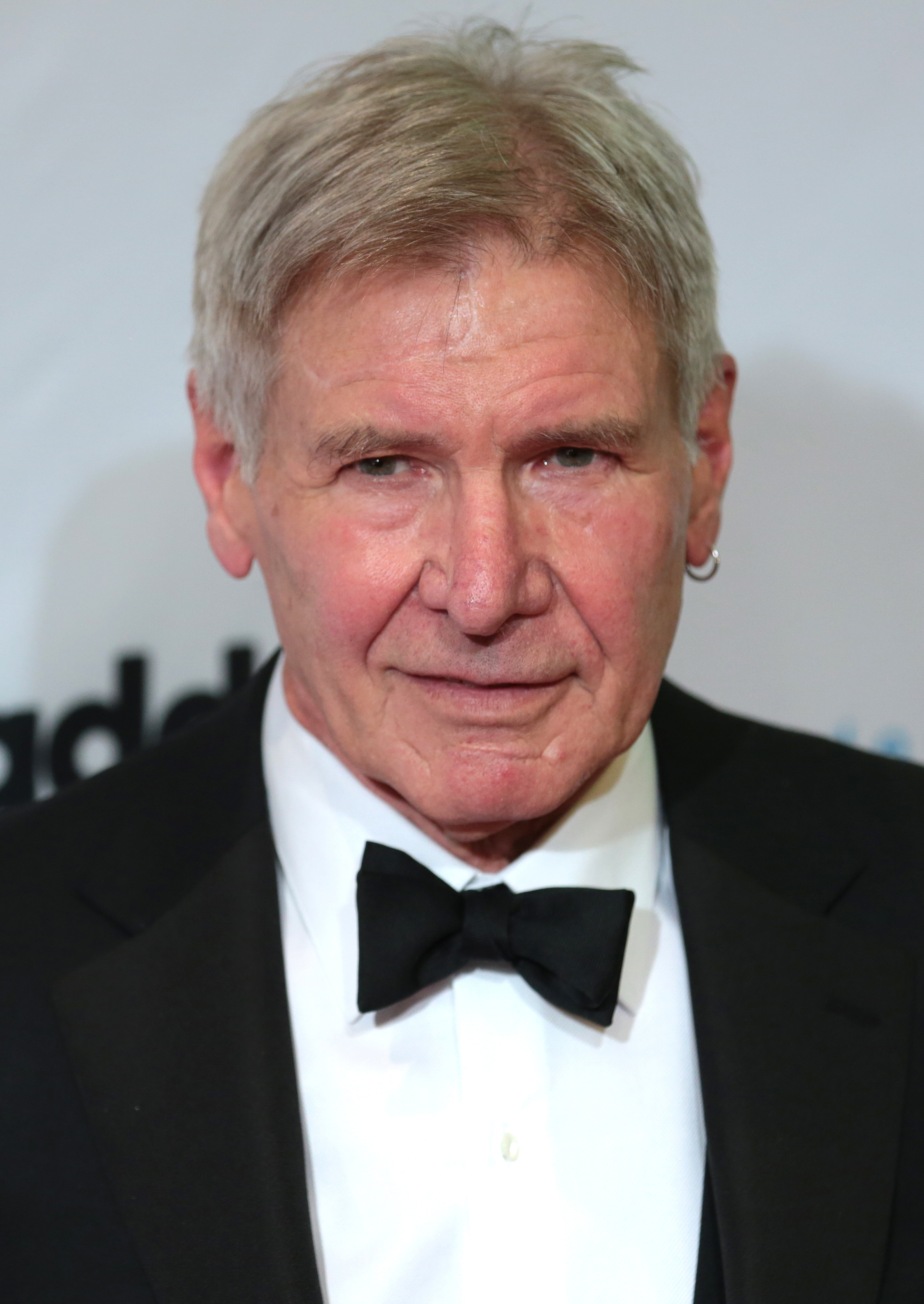 Harrison Ford Fotografia