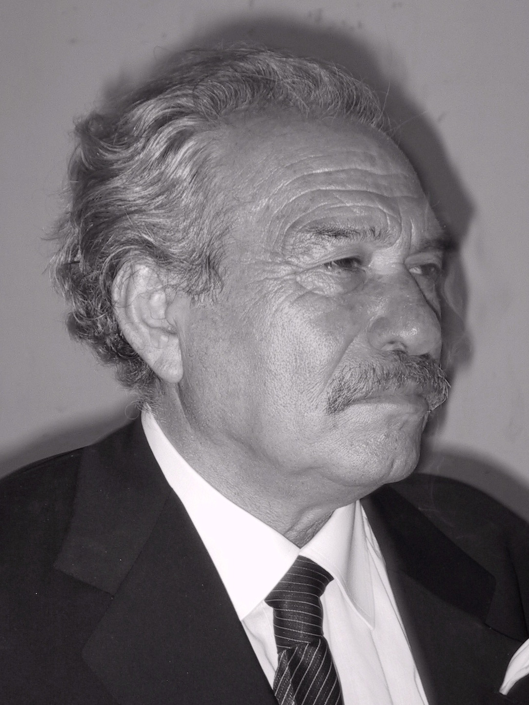 Jannis Kounellis Fotografia
