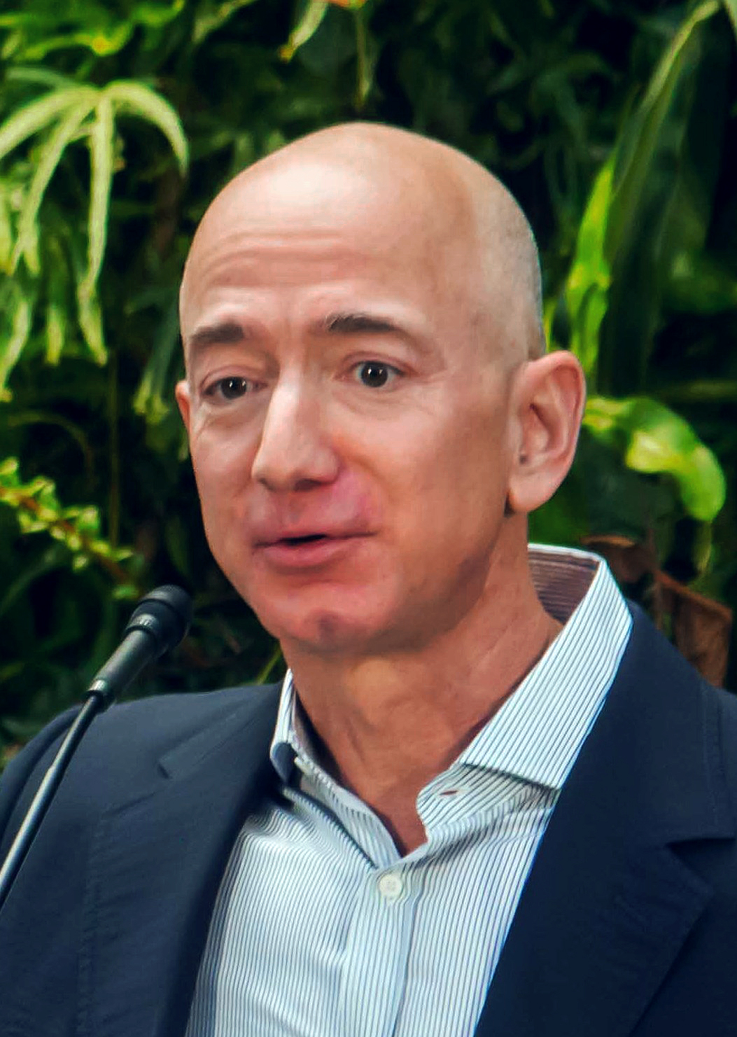 Jeff Bezos Fotografia