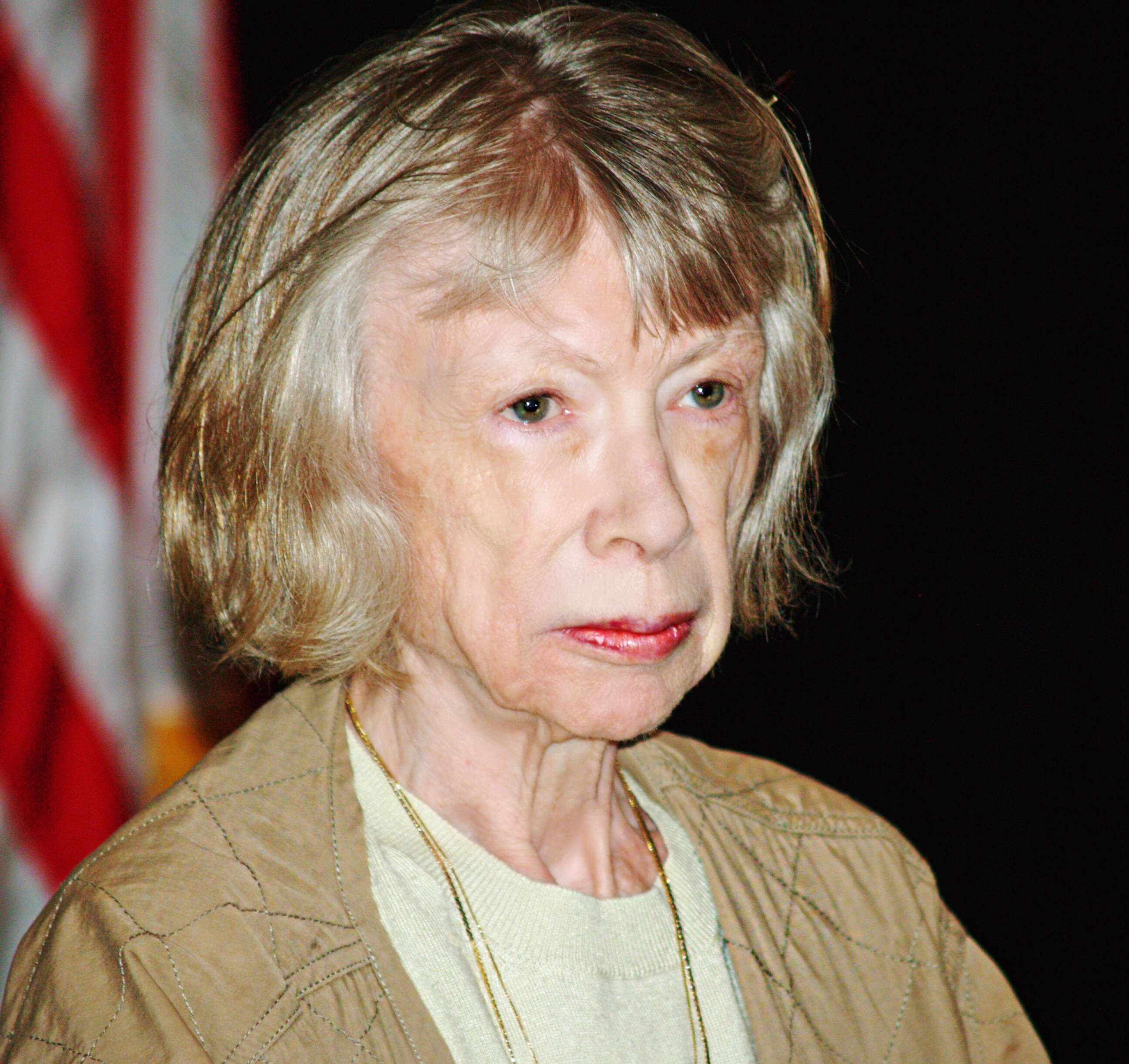 Joan Didion Fotografia