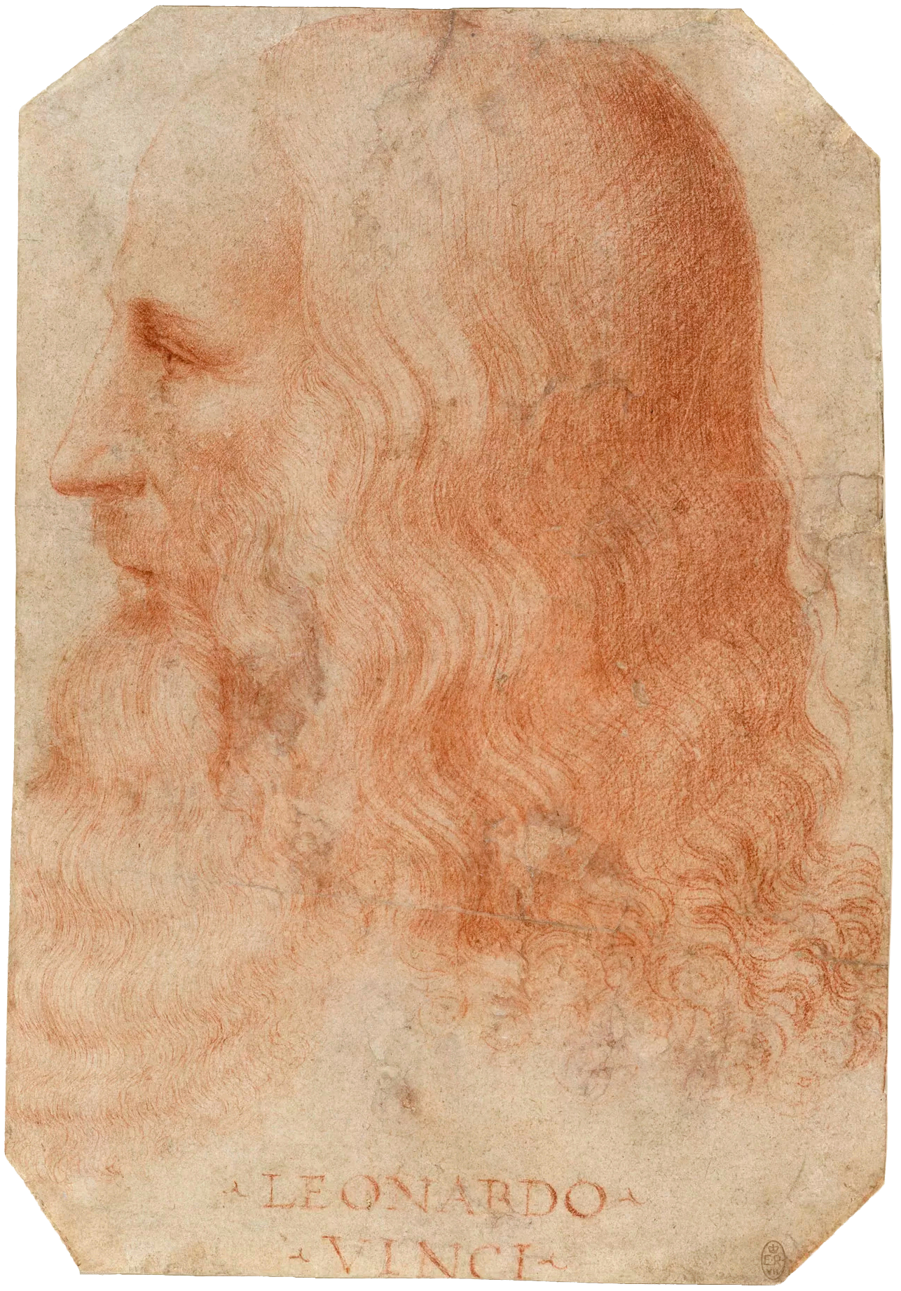 Leonardo da Vinci Fotografia
