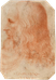 Leonardo da Vinci Fotografia