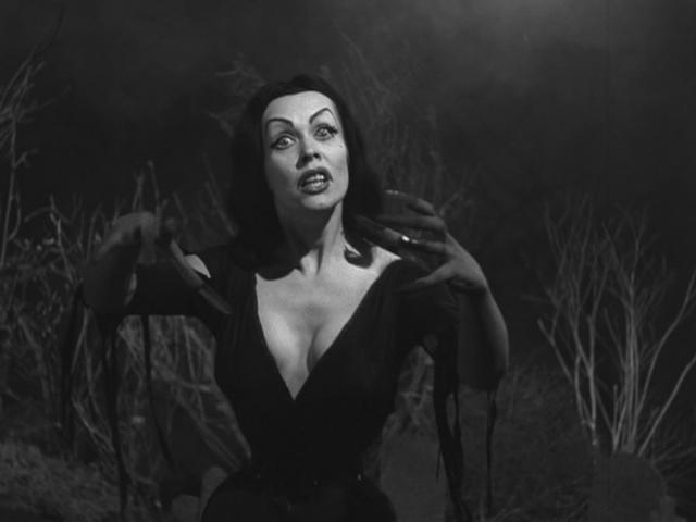 Maila Nurmi Fotografia