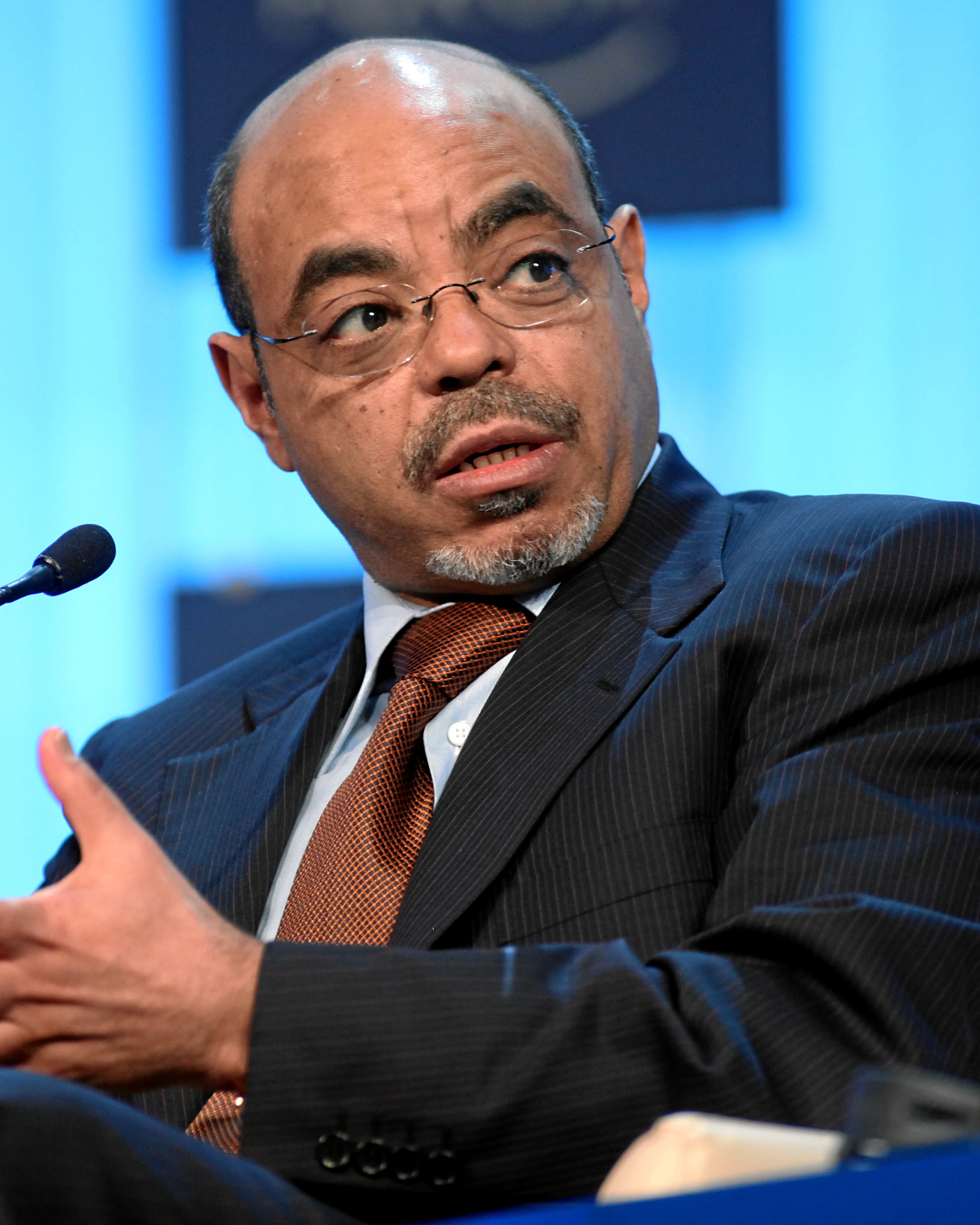 Meles Zenawi Fotografia