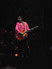 Peter Buck Fotografia