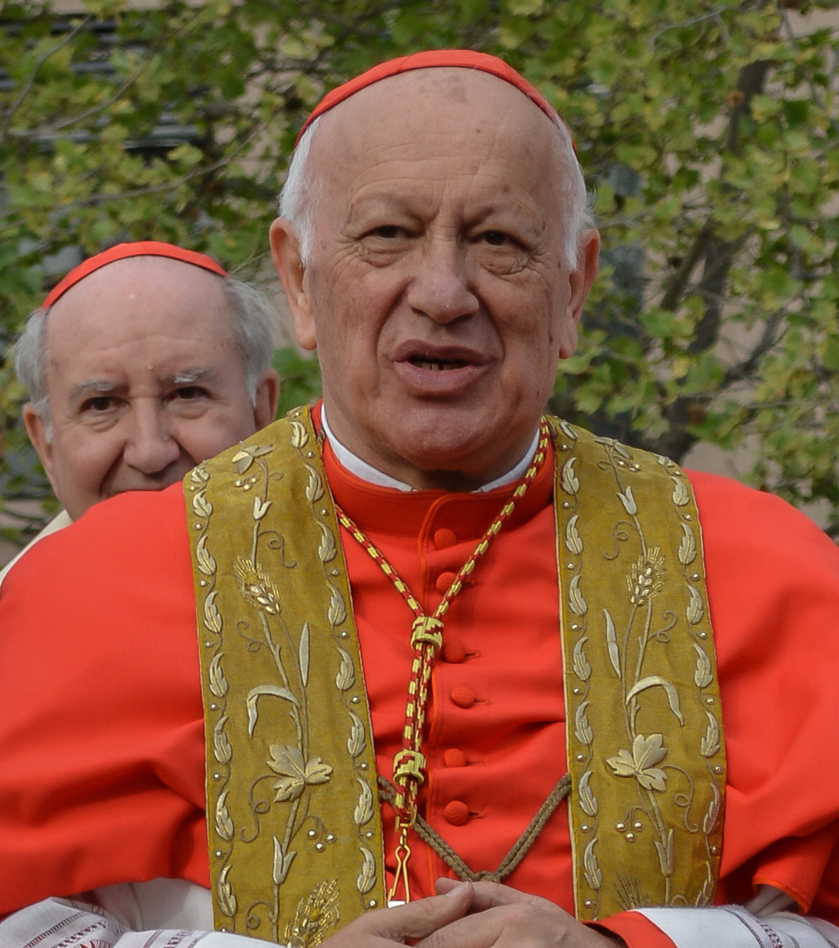 Ricardo Ezzati Andrello Fotografia
