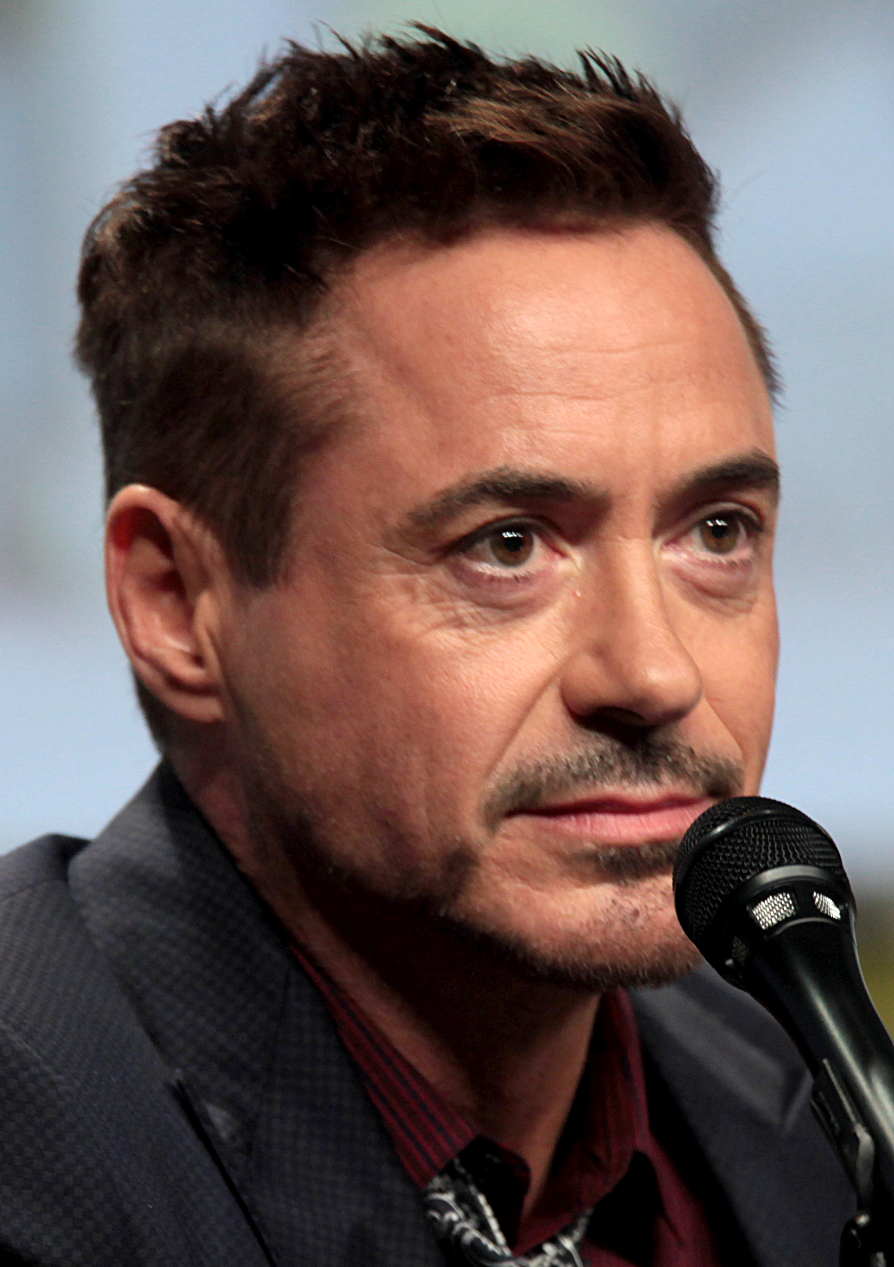 Robert Downey Jr. Fotografia
