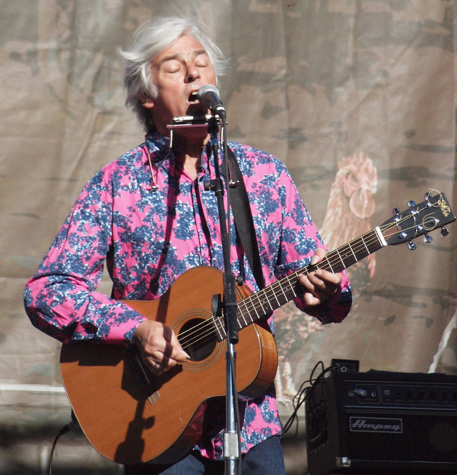 Robyn Hitchcock Fotografia