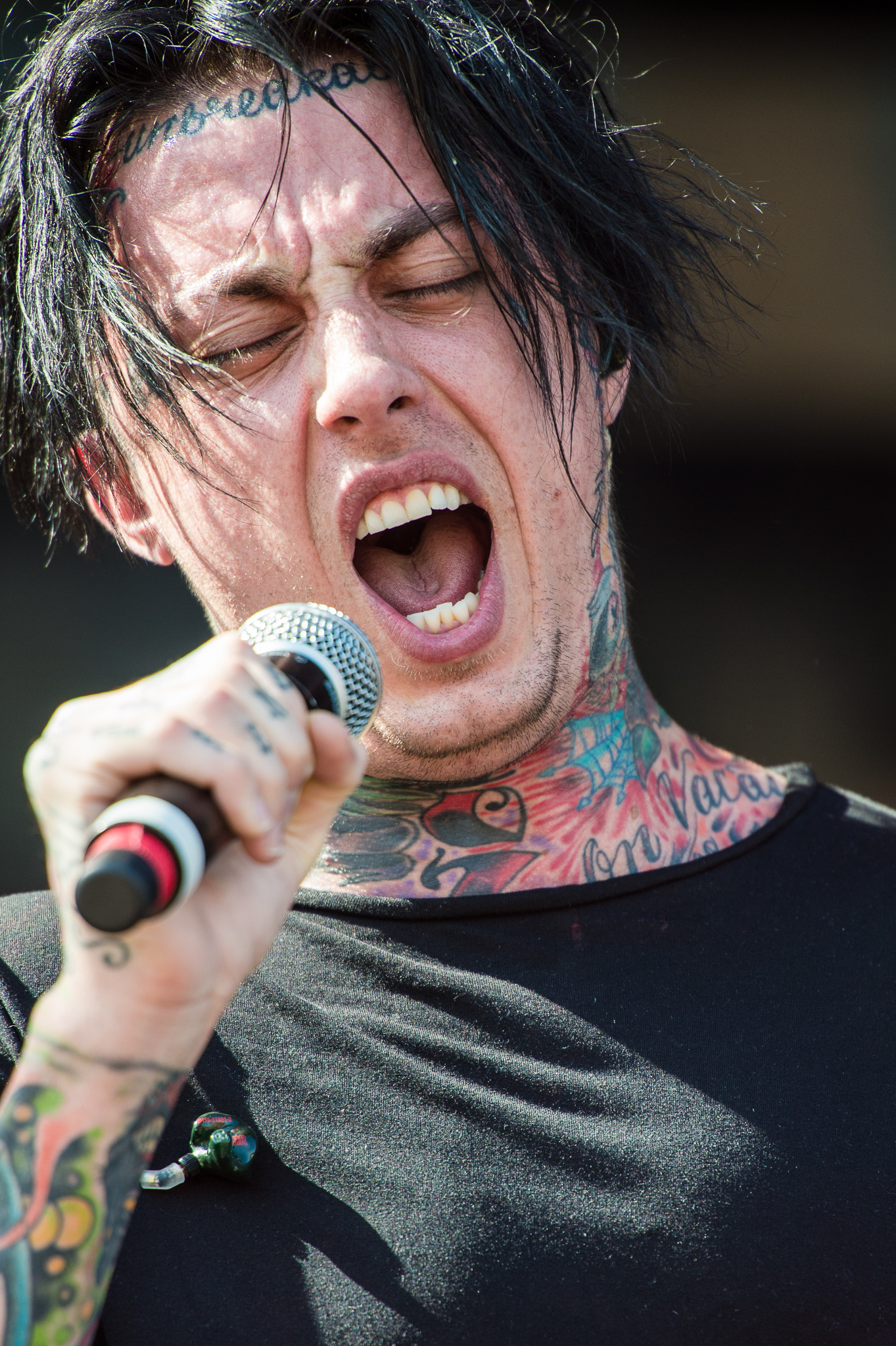 Ronnie Radke Fotografia