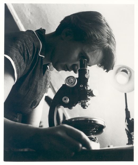 Rosalind Franklin Fotografia