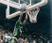 Shawn Kemp Fotografia