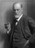 Zygmunt Freud Fotografia
