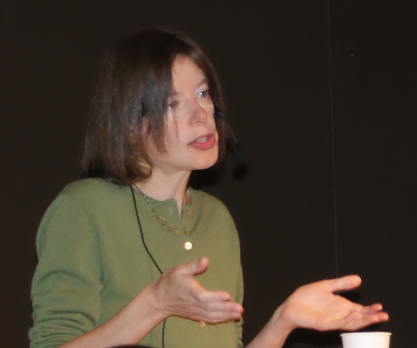 Susan Faludi Fotografia