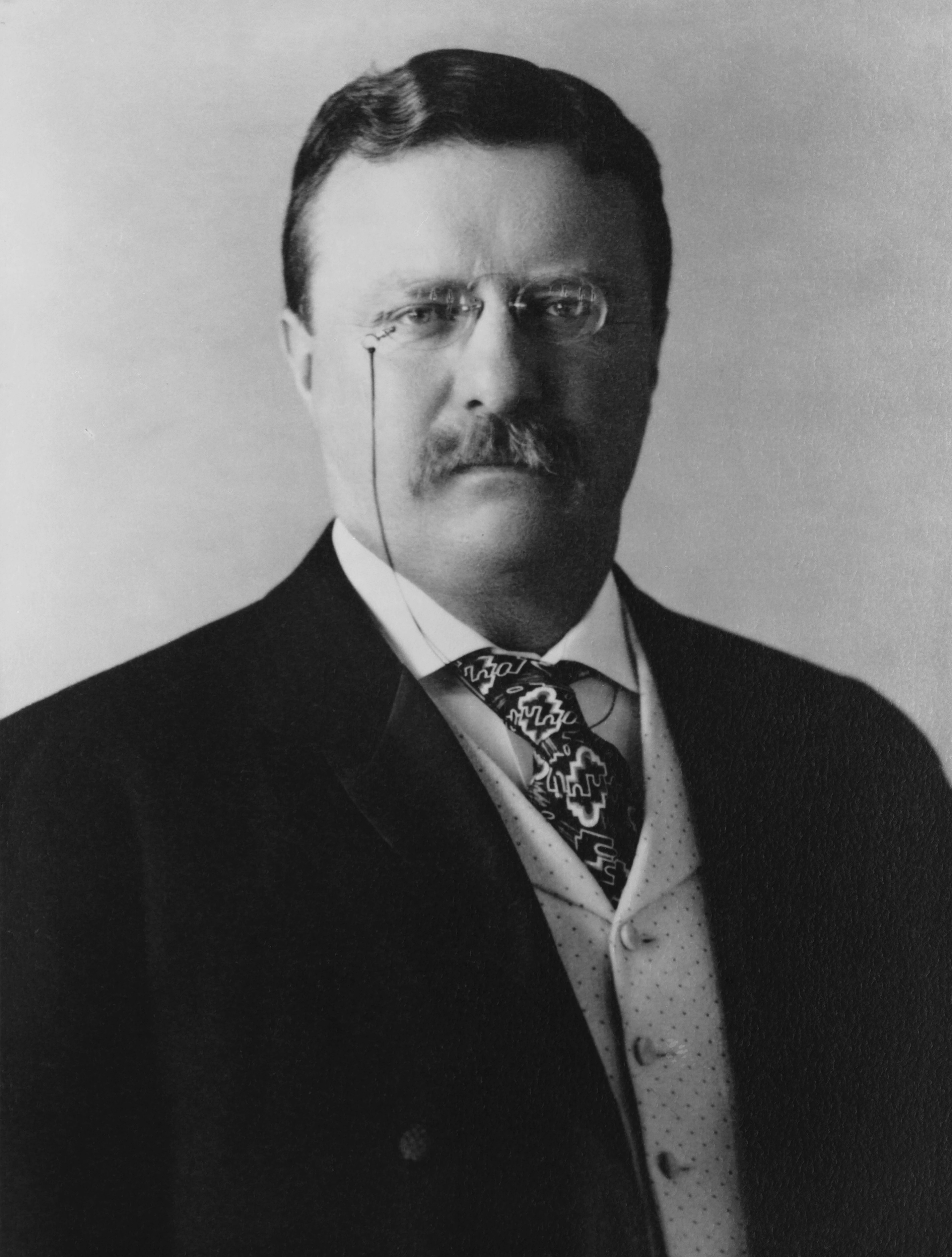 Theodore Roosevelt Fotografia