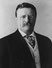 Theodore Roosevelt Fotografia
