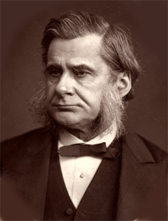 Thomas Henry Huxley Fotografia