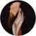 Thomas Wyatt Fotografia