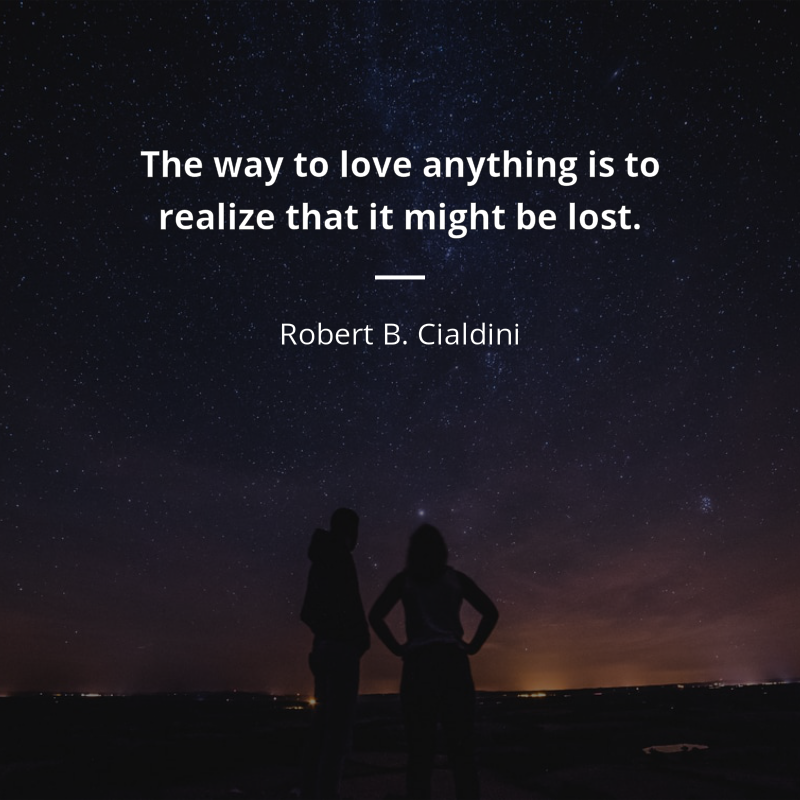 Robert B. Cialdini cytat: “The way to love anything is to realize that it might be lost.”
