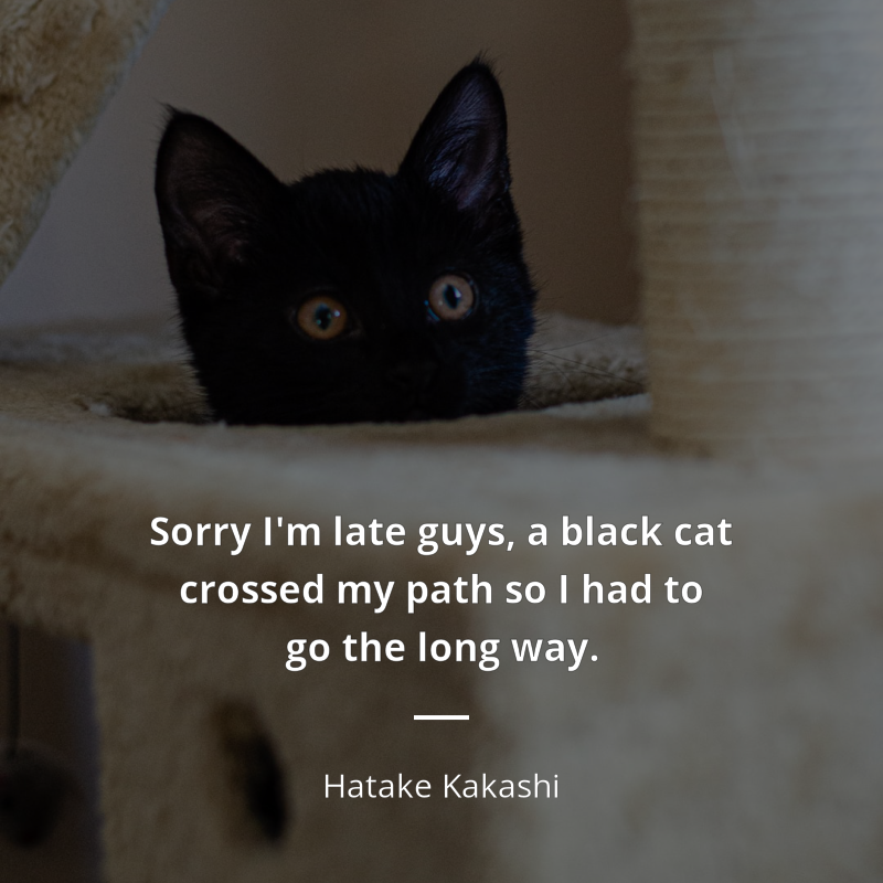 Hatake Kakashi cytat: “Sorry I'm late guys, a black cat crossed my path so I had to go the long way.”