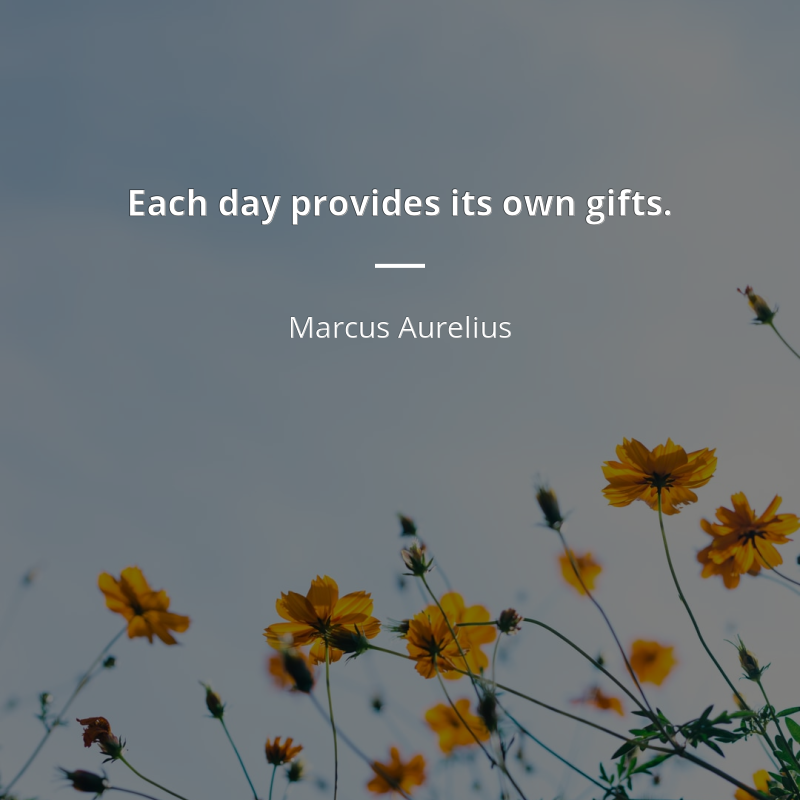 Marcus Aurelius cytat: “Each day provides its own gifts.”
