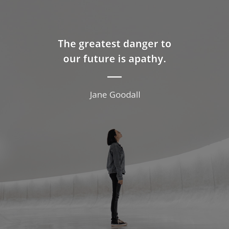 Jane Goodall cytat: “The greatest danger to our future is apathy.”